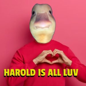 HAROLD_LUV